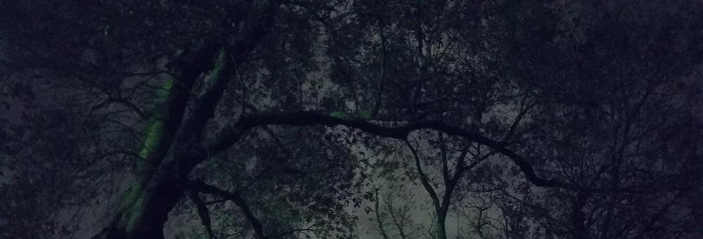 Ominous_Sky_01m2half-c.jpg